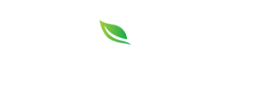 HLD Biological Dentistry Logo